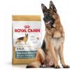 غذای خشک سگ رویال کنین مخصوص سگ های بالغ نژاد ژرمن شپرد-11کیلویی
