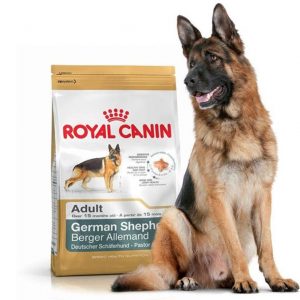 غذای خشک سگ رویال کنین مخصوص سگ های بالغ نژاد ژرمن شپرد-11کیلویی