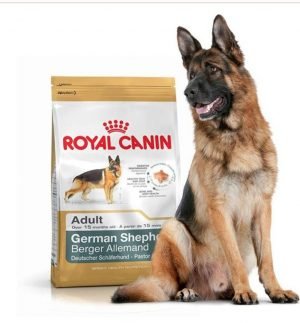 غذای خشک سگ رویال کنین مخصوص سگ های بالغ نژاد ژرمن شپرد-11کیلویی