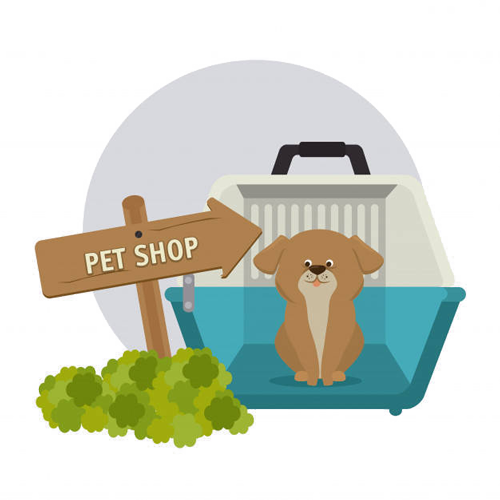 باکس و کیف حمل سگ