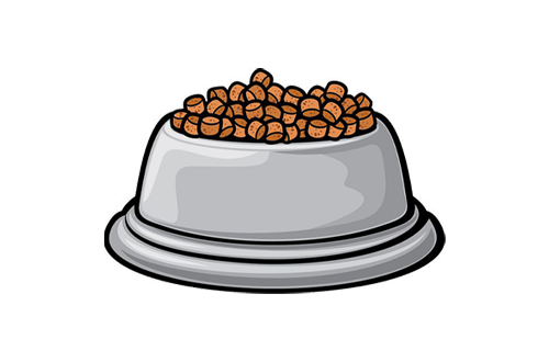 غذای خشک سگ