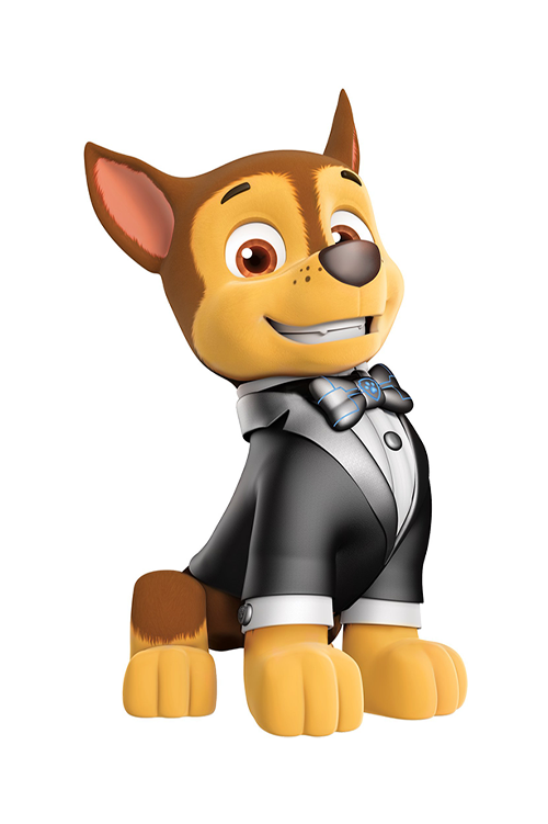 لباس و قلاده سگ