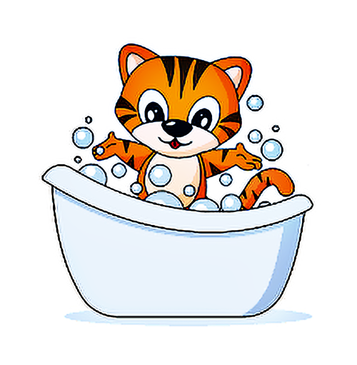 لوازمات بهداشتی گربه